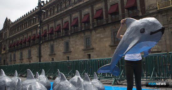 Мексика борется с наркокартелями за собственные воды