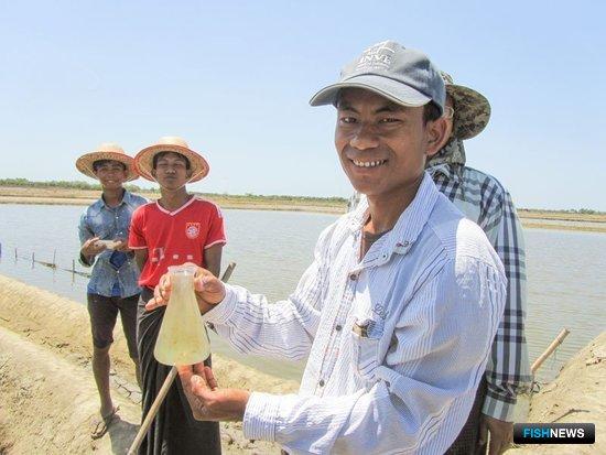 Европа поможет Мьянме развивать аквакультуру