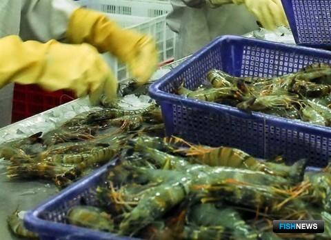 Морепродукты Вьетнама теряют саудовский рынок