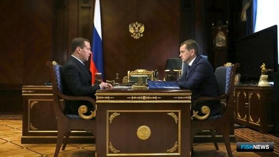 Дмитрию Медведеву рассказали об экономических успехах отрасли