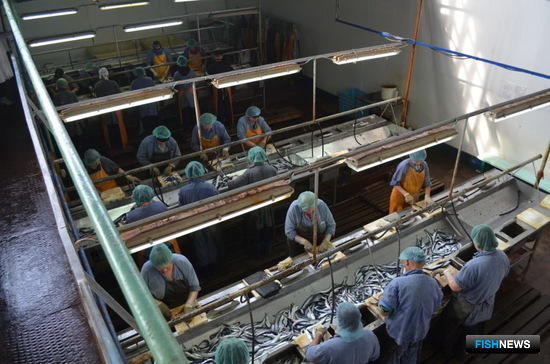 В ТОРы Дальнего Востока приходит современная рыбопереработка