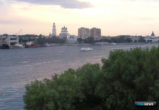 Астраханская область готовится к масштабному «лечению» Волги