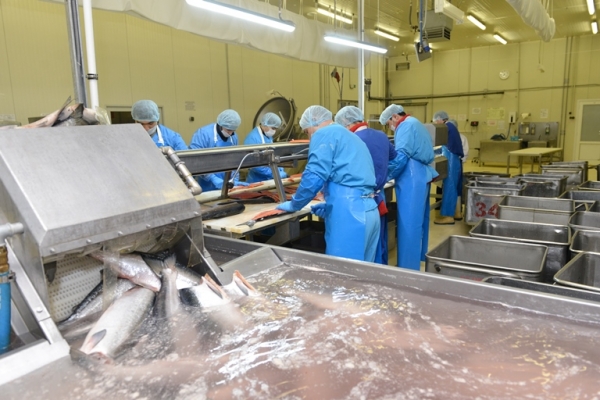 
			Глава Росрыболовства оценил результаты работы передовых рыбоперерабатывающих предприятий		