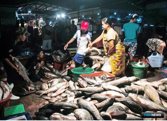 Мьянма побила рекорд рыбного экспорта