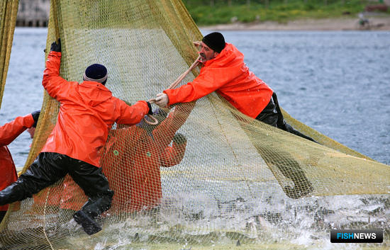 На Камчатке выберут лучших в рыбном хозяйстве