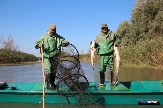Астраханская область ожидает непростой рыбалки