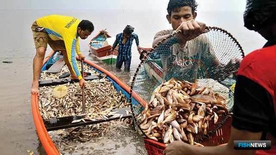 Дели и Пекин хотят сохранить часть «рыбных» субсидий