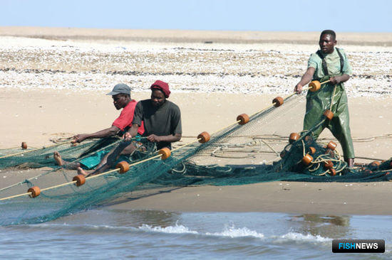 Россия и Намибия договариваются о «рыбном» сотрудничестве