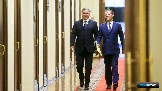 Дмитрий Медведев предложил кандидатуры вице-премьеров