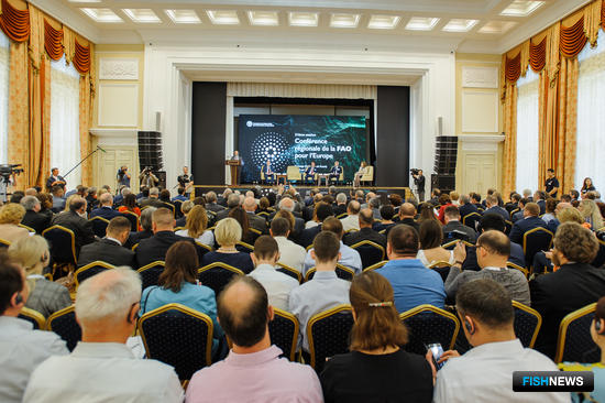 Масштабная сессия ФАО открылась в Воронеже