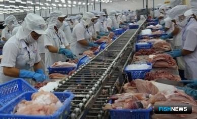 Вьетнамский пангасиус уверенно «плывет» на мировой рынок