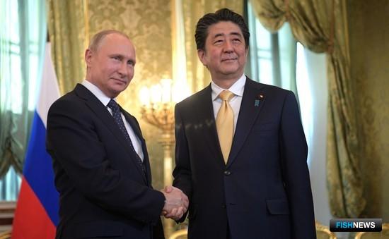 Россия и Япония активизируют сотрудничество на Курилах
