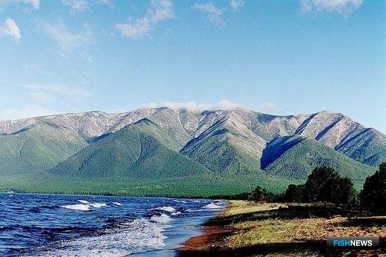 На защиту Байкала направят субсидии