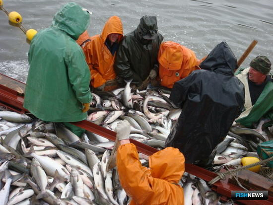 На Камчатке готовятся встречать красную рыбу