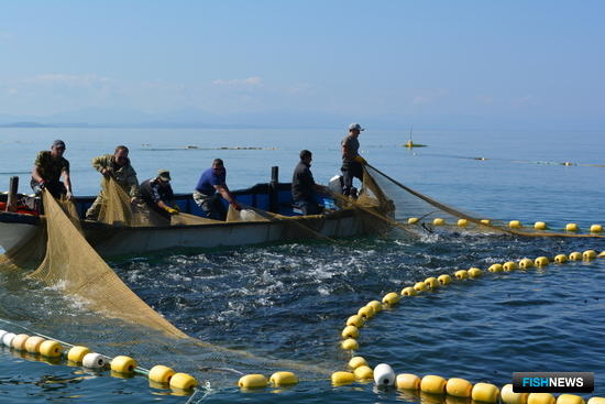 Рыбохозяйственный совет соберется на Сахалине