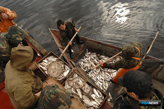 На Ямале обновят рыбацкий флот