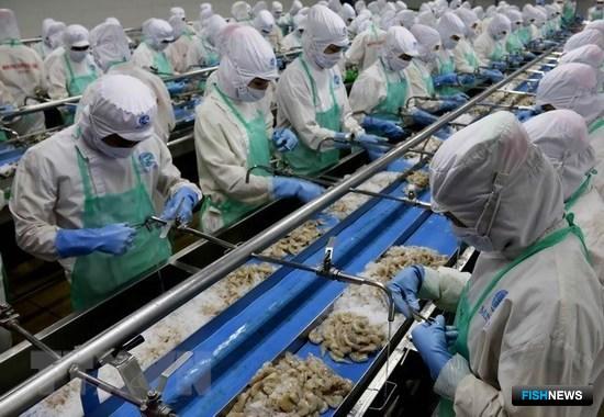 Рыбозаводы Вьетнама страдают от дефицита сырья