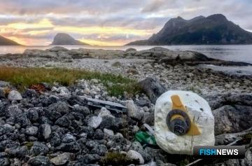 Аквакультуру Норвегии проверят на вред для моря