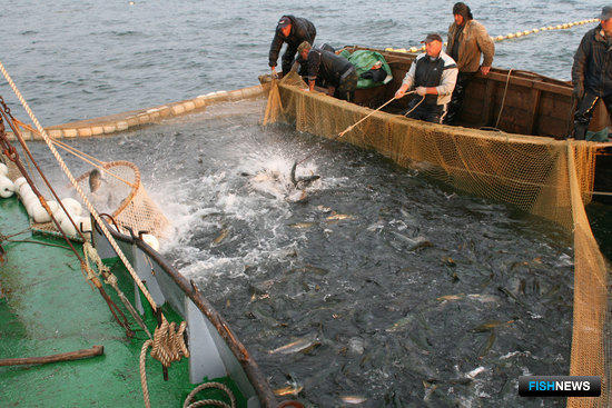 Дальневосточных рыбаков ждут большие изменения