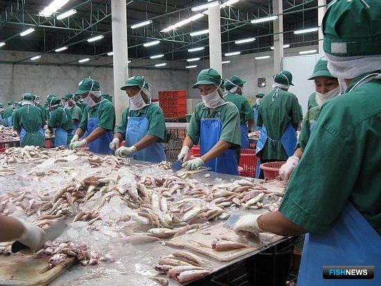 Рыба США для китайских заводов избежит высокой пошлины