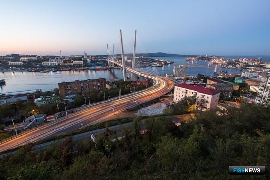 Совет будет укреплять статус Владивостока как морской столицы