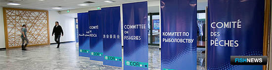 «Рыбный» комитет ФАО съехался на сессию