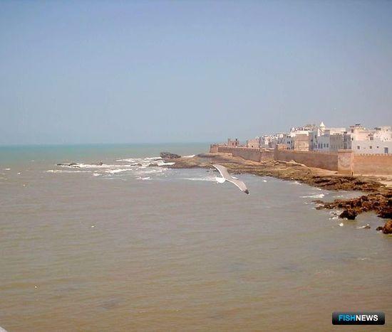 Европейский промысел в водах Марокко под угрозой