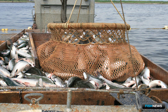 Сахалинским рыбакам напомнили об ограничении