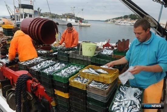 Евросоюз и Марокко договорились по рыбному промыслу