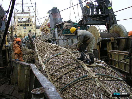 Дальневосточным рыбакам рассчитали доли квот