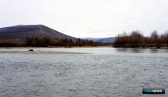 В Якутии изменили сроки сетного лова для любительской рыбалки
