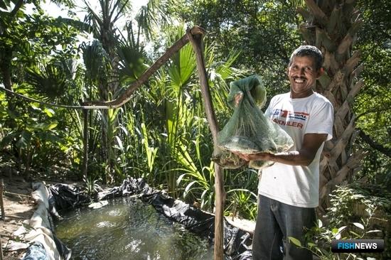 В засушливых районах Гватемалы занялись «дождевым» рыбоводством