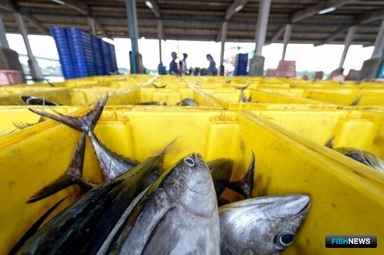 В Мировом океане доминирует рыбацкий флот богатых стран