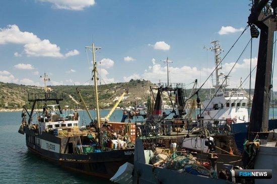 Рыбные компании Севастополя поддержат субсидией