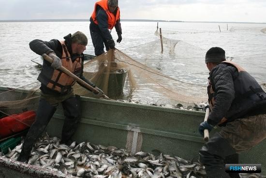 На защиту рыбных урожаев Зауралья встанут силовики