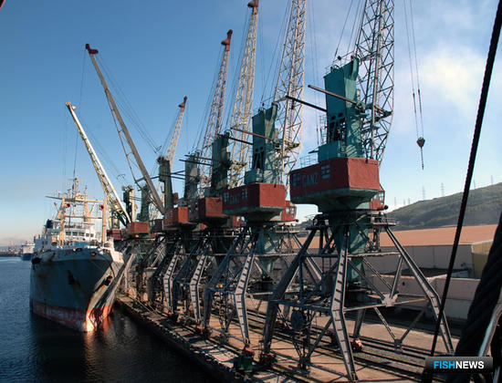 После приватизации Мурманский морской рыбный порт инвестировал в развитие полмиллиарда рублей
