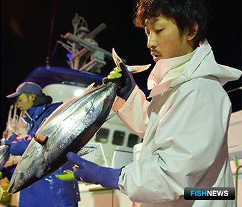 Япония сдала рыбацкие позиции