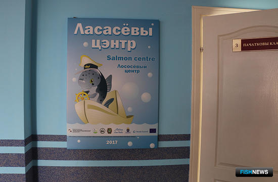 К белорусскому лососю приходит слава