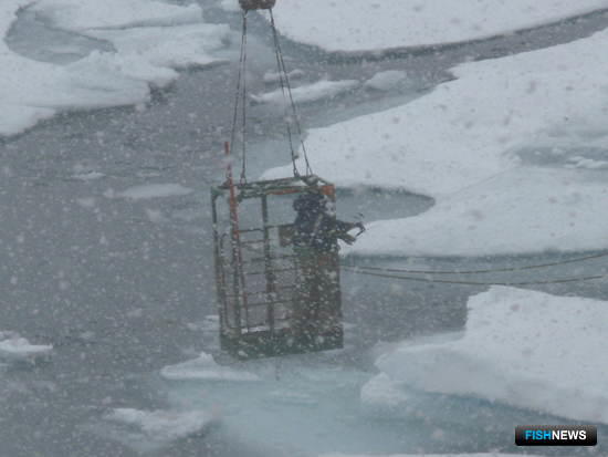 Россия поддержала проект соглашения по рыболовству в Арктике