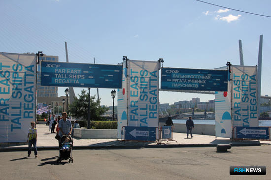 Первый этап гонки парусников завершился во Владивостоке