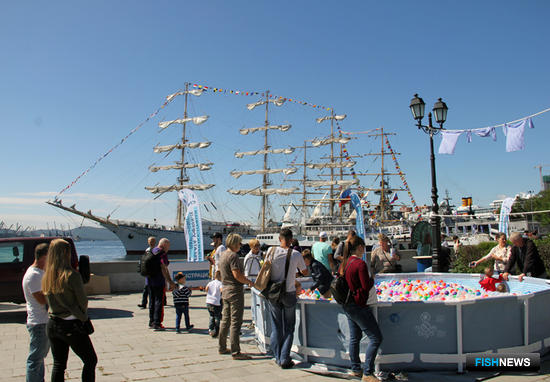 Первый этап гонки парусников завершился во Владивостоке