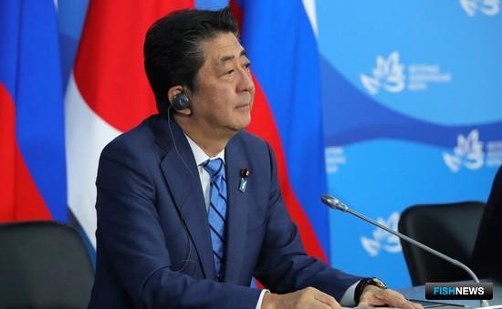 Россия и Япония отметили успехи в «курильском» сотрудничестве