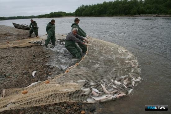 На Колыме подводят итоги лососевой рыбалки