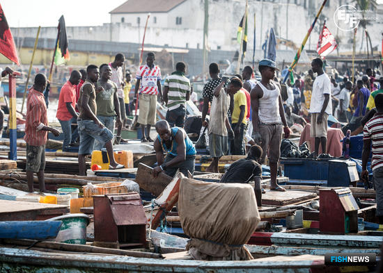 Экологи: рыбную отрасль Ганы контролирует китайский бизнес