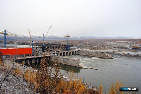 ГЭС обязали зарыбить Колыму
