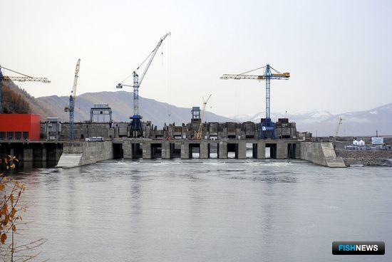 ГЭС обязали зарыбить Колыму