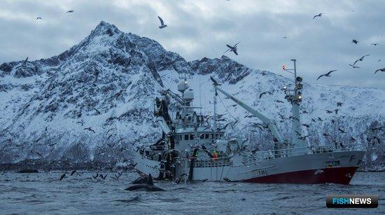 Норвегия хочет удвоить рыбный экспорт