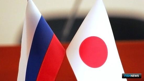 Россия и Япония готовятся развивать аквакультуру на Курилах