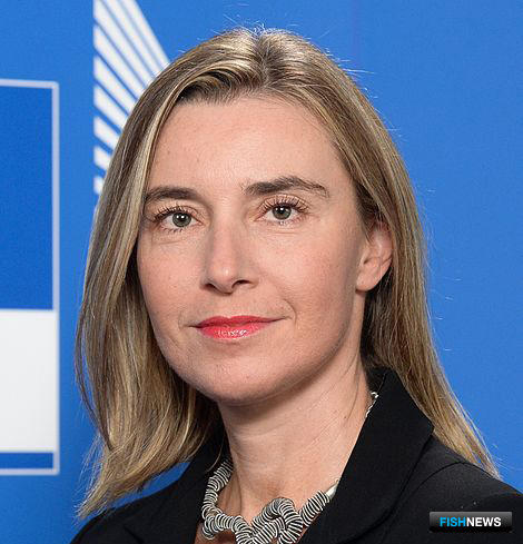Мария Захарова напомнила Евросоюзу о «Норде»