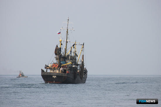 ЦСМС рекомендует рыбакам поспешить с освоением ЭПЖ